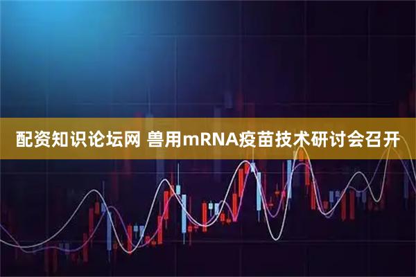 配资知识论坛网 兽用mRNA疫苗技术研讨会召开